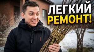Ремонт плетёного дерева после зимы