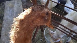 ну и вот такие у нас дела