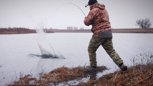 ВОТ ЭТО РЫБАЛКА! ВЕСНОЙ ЗА ПОЛ ЧАСА, ХИЩНАЯ РЫБА ЖАДНО ЕСТ ПРИМАНКУ. Первые весенние рыбалки 2026!