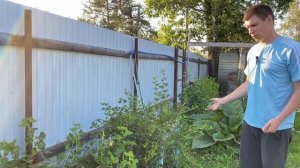 Огород мечты! Обзор сада и огорода 2025