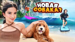 АМИНА ПРОСИТ НОВУЮ СОБАКУ 🤯 НАУЧИЛИСЬ СЕРФИТЬ 🤩 НОВЫЙ ОТЕЛЬ!!! VLOG