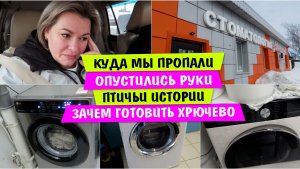 Куда мы ПРОПАЛИ / ОПУСТИЛИСЬ руки / Птичьи ИСТОРИИ / Зачем готовить ХРЮЧЕВО / Vika Siberia LifeVlog