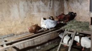 Прощай ютуб ‼️‼️‼️