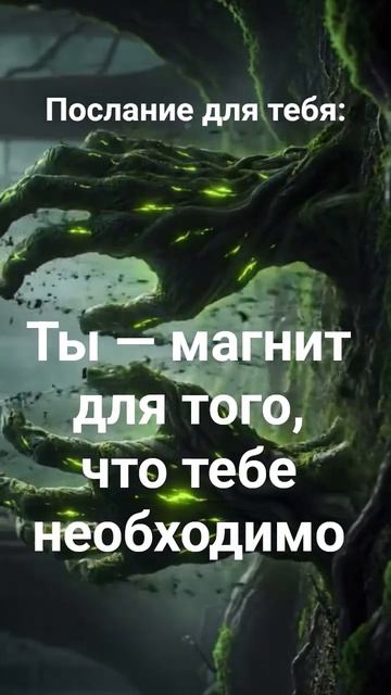 Хотите улучшить свою жизнь, подписывайтесь на канал