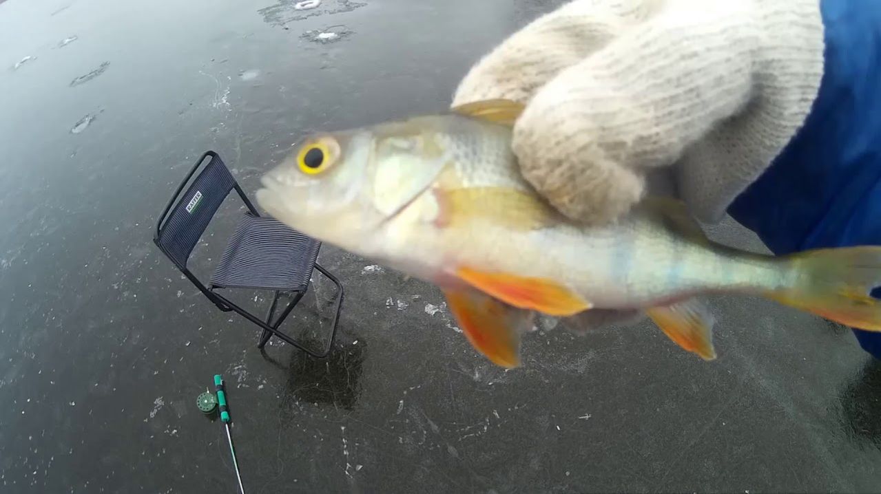 Зимний Выход на Рыбалку. Русская Рыбалка в с. Молька. Ловлю Мелочевку. Рыбалка Онлайн