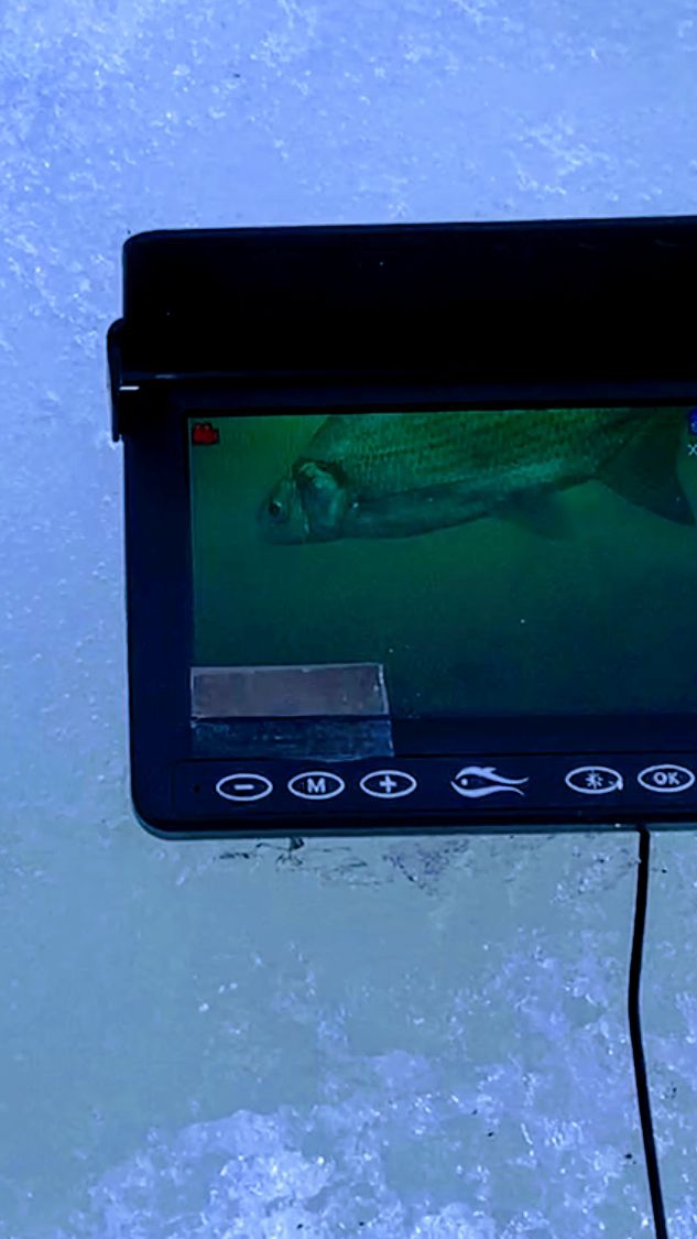 ОПУСТИЛ КАМЕРУ под ЛЁД,а там СТАДО ЛЕЩЕЙ