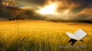 72. Сура Аль-Джинн (Al-Jinn | الجن) — Слушать перевод Корана на русском языке 🕌