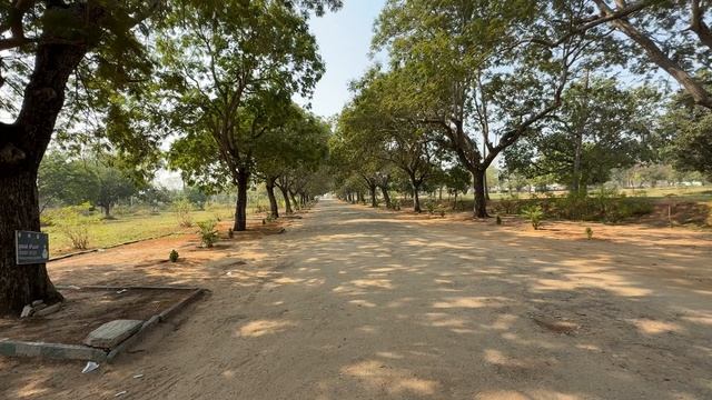 24 Умчали в Майсур! Игорь в поисках еды  Летний дворец покорил! Индия Карнатака 2026