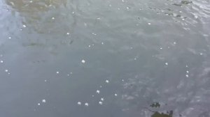 20.03.26 г. РК Волна.