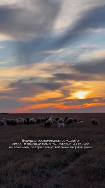 Эти обыденные дни станут моментами, по которым ты будешь тосковать - не упускай их сейчас.