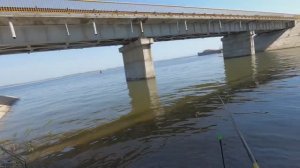 РЫБАЛКА НА РЕКЕ ВОЛГА