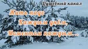 ЖИТЬ НАДО КАЖДЫМ ДНЁМ, МОМЕНТОМ КАЖДЫМ...