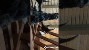 Челябинск 2025.mp4