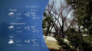Прогноз погоды 24.03.2026