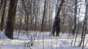 похищенный для леса ЧАСТЬ 35