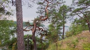 4К. Валаам. Скромная красота островного края. Грани зрелого восприятия.