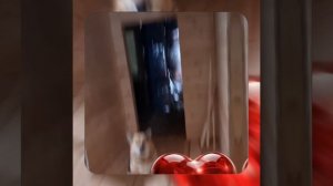 1000052809.mp4 (Собака наблюдает за устройством лестницы на 2-ой этаж в доме А-фрейм)