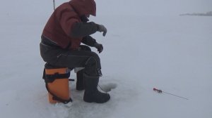 "Рыбацкие байки" 20.03.2026