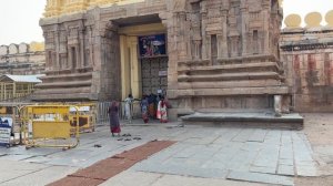 #26 Крокодилы! Прогулка по реке с крокодилами в Майсуре. Парк птиц и китайский ужин. Индия 2026