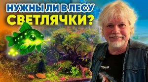 Аквариумные истории из ЭКЗОМЕНЮ (20.03.2026). Нужны ли в лесу светлячки?