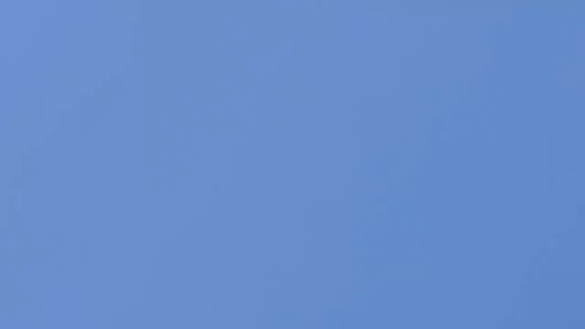 В гостях у Андрея гоняем голубей