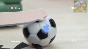 Бэби босс   большой ребенок, и он сделал что то плохое, в чем виноват маленький хомячок