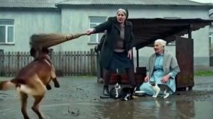 Кабысдох Mangy munt