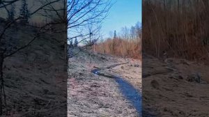 SU 2026 В коммунизм 20-03-2026