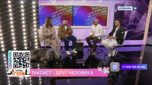 Георгий Музыка: на цену поездки в зоотакси влияют погода, время года и маршрут