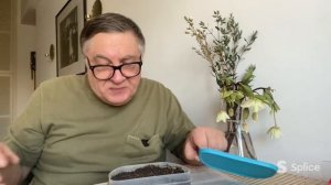 Самая ароматная земляничка!