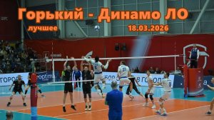 Волейбол. 18.03.2026. Горький - Динамо ЛО. Нарезка игровых моментов.