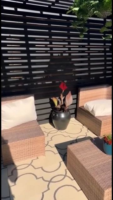 Пергола в которую влюбляются с первого взгляда