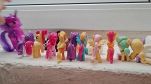 "Поездка выбирать питомца" 11 Серия