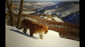 2026-02-24 Первозданная Россия_ч2