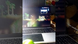 Первые драгоценные камни в терарии Террариа--Terraria