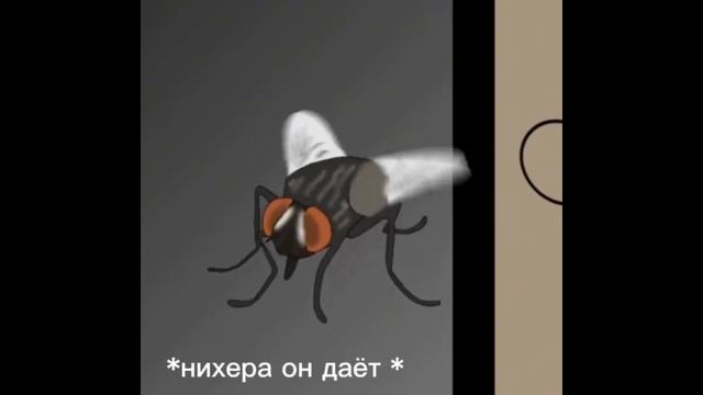 анимации элиты по Терибл маус смотреть онлайн