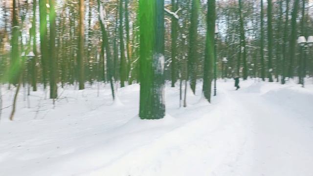 КАК ПРЕКРАСЕН ЛЕС ВЕСЕННИЙ!