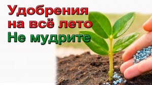 Чудо удобрения на все лето.Какие удобрения купить сейчас, чтобы не бегать летом
