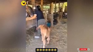 Подборка Смешных Неудач