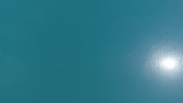 Турье озеро с высоты птичьего полёта