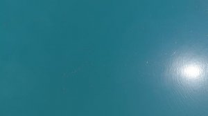 Турье озеро с высоты птичьего полёта