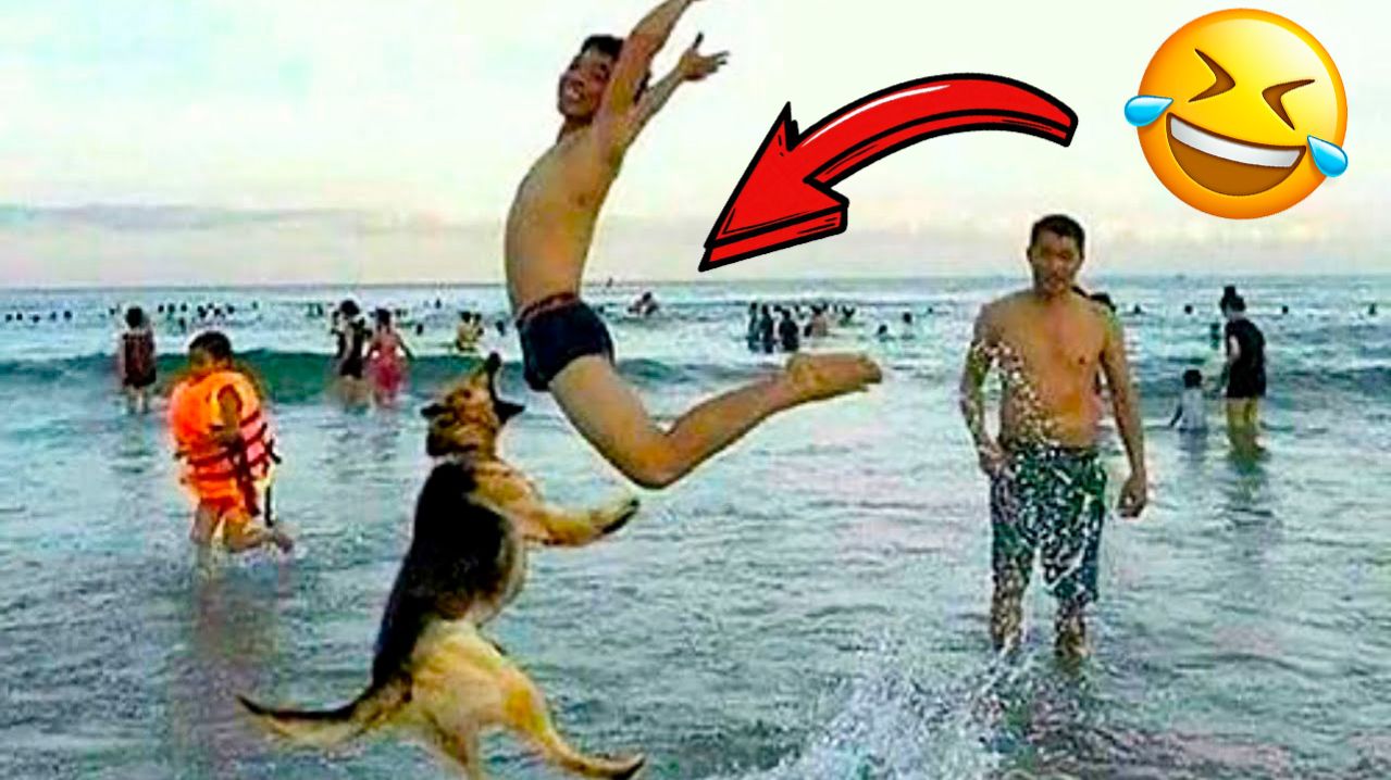 🔥 ПОЛНЫЙ УГАР ПОРВЁШЬ ЖИВОТ 🤣 ТВОИ ПРИКОЛЫ 2026 🤣