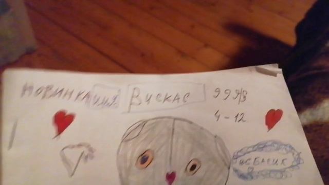 Влок на даче с вискасом