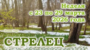 СТРЕЛЕЦ | ТАРО прогноз на неделю с 23 по 29 марта 2026 года