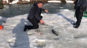 утренние поимки форели