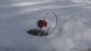 РЫБАЛКА В ТАЙГЕ 2026. тизер.