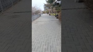 Анапа 19 Марта 2026. Репортаж Светланы Тихоновны