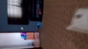 5 серия огня 2сезон