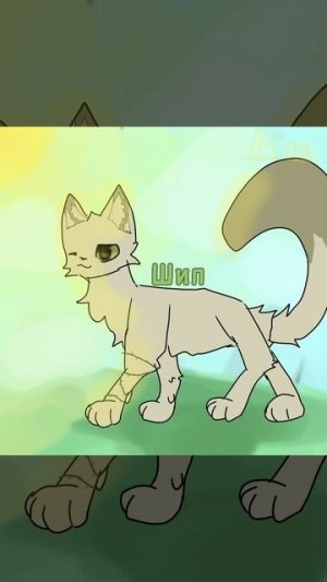 арт. на конкурс WildBONOS