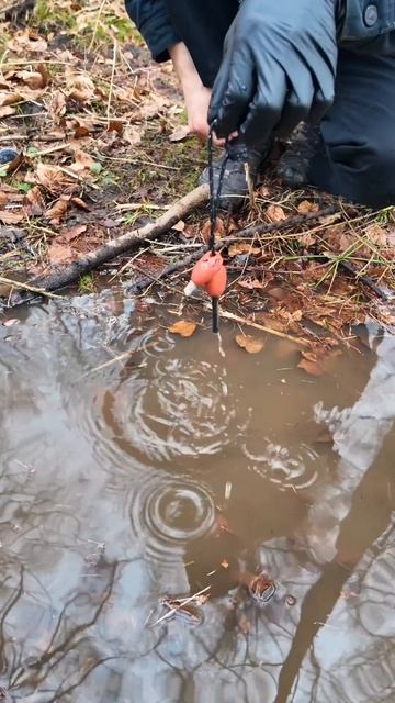 ЧЕЛЛЕНДЖ В ЛЕСУ